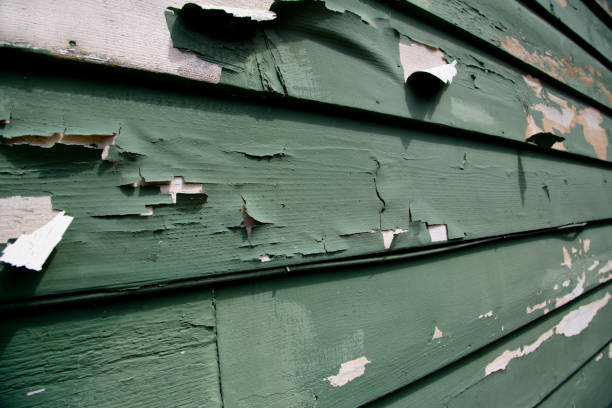 Best Storm Damage Siding Repair  in Fallbrook, CA