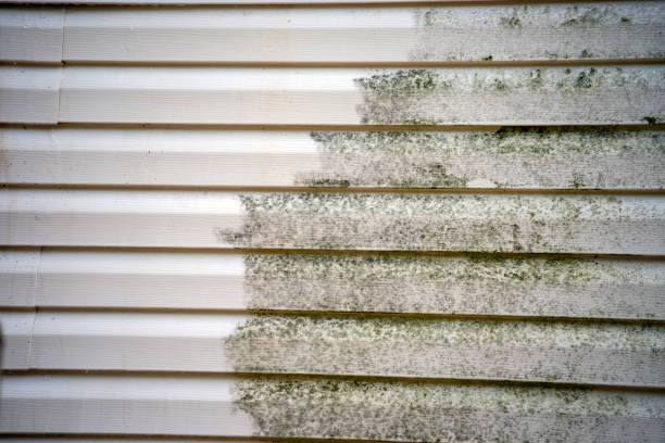 Best Siding for New Construction  in Fallbrook, CA